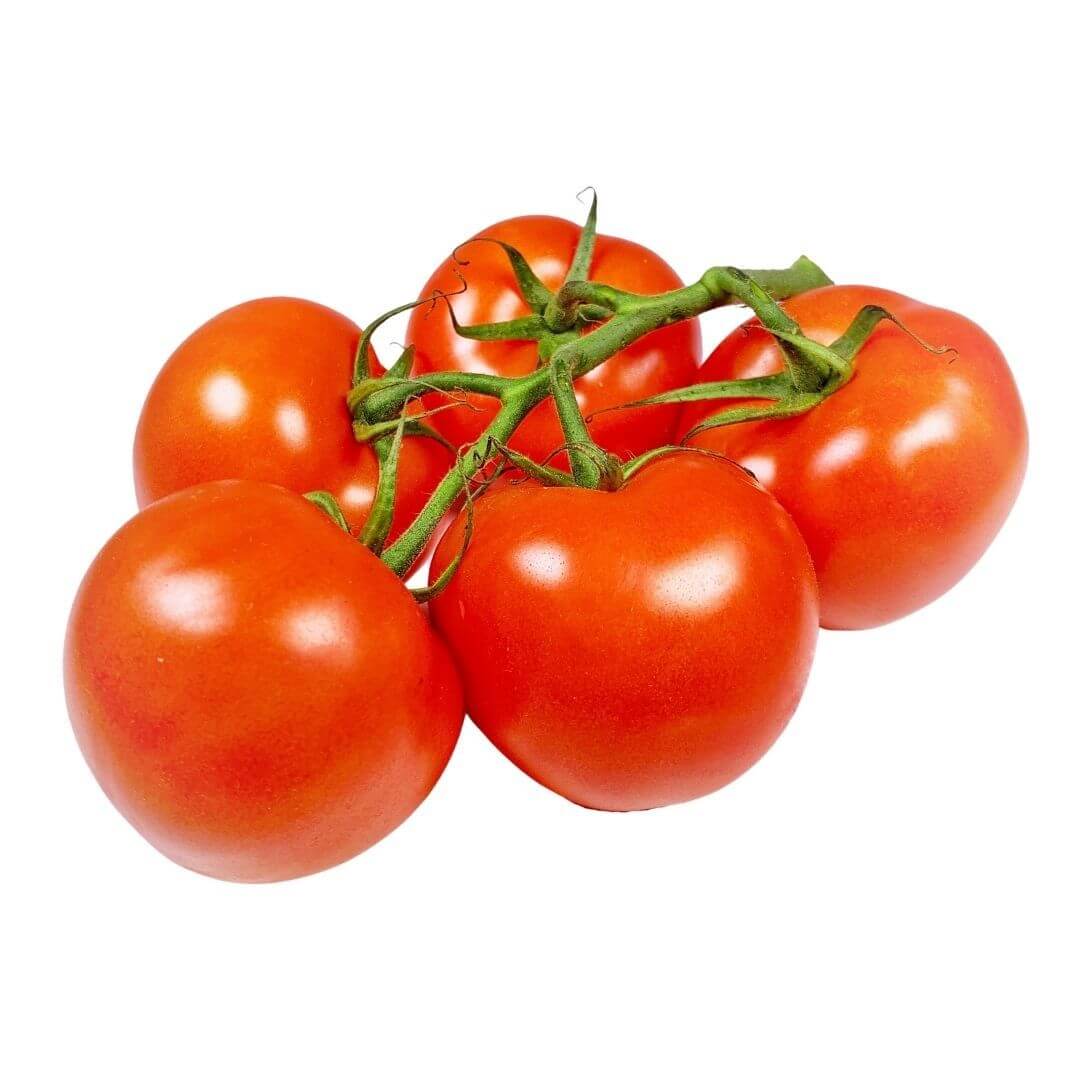 TOMATOES STEM